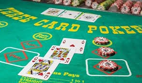 557bet